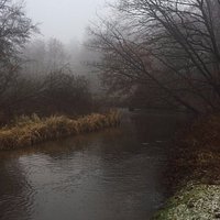 Mooie mist boven de meanderende Swalm in het Groenewoud