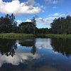 Things To Do in Pine Rivers Park, Restaurants in Pine Rivers Park