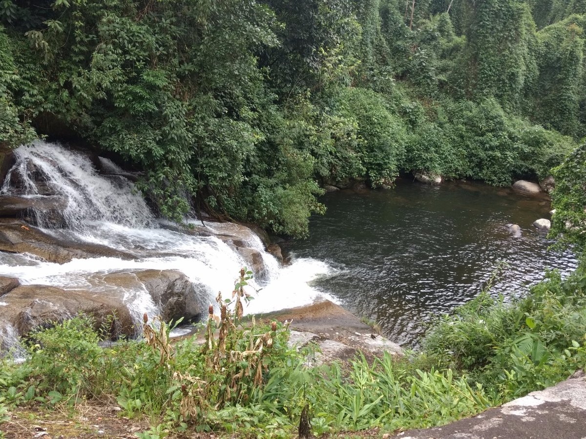 Escuna Estrela da Manhã (Paraty) - All You Need to Know BEFORE You Go