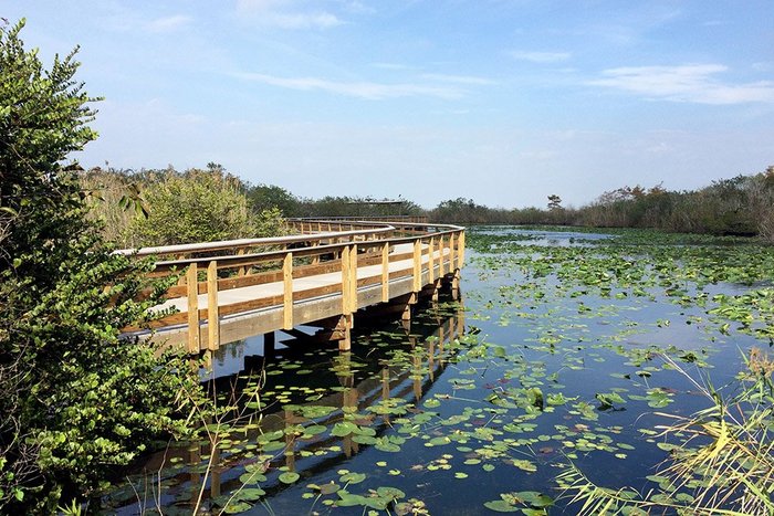 Everglades National Park, Florida