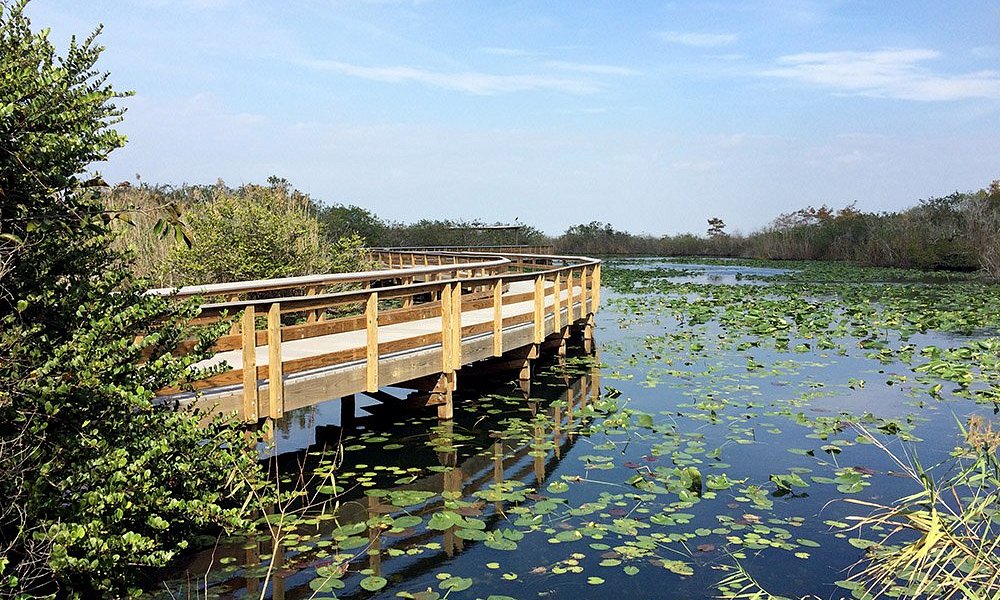 LAS 10 MEJORES cosas que hacer en Parque Nacional Everglades (Actualizado 2024) - Tripadvisor