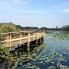 Things To Do in Full Day Everglades: Wet Walk with a Naturalist and Two 1-Hour Boat Trips, Restaurants in Full Day Everglades: Wet Walk with a Naturalist and Two 1-Hour Boat Trips