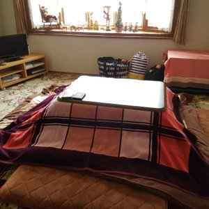 Kotatsu on Lodge Uenoski