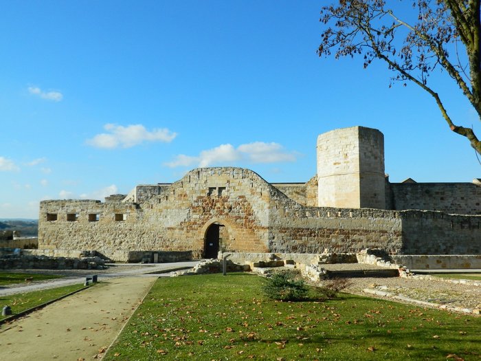 Imagen 1 de Castillo de Zamora