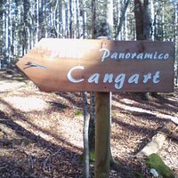 Punto di osservazione sulla vallata di caldonazzo.