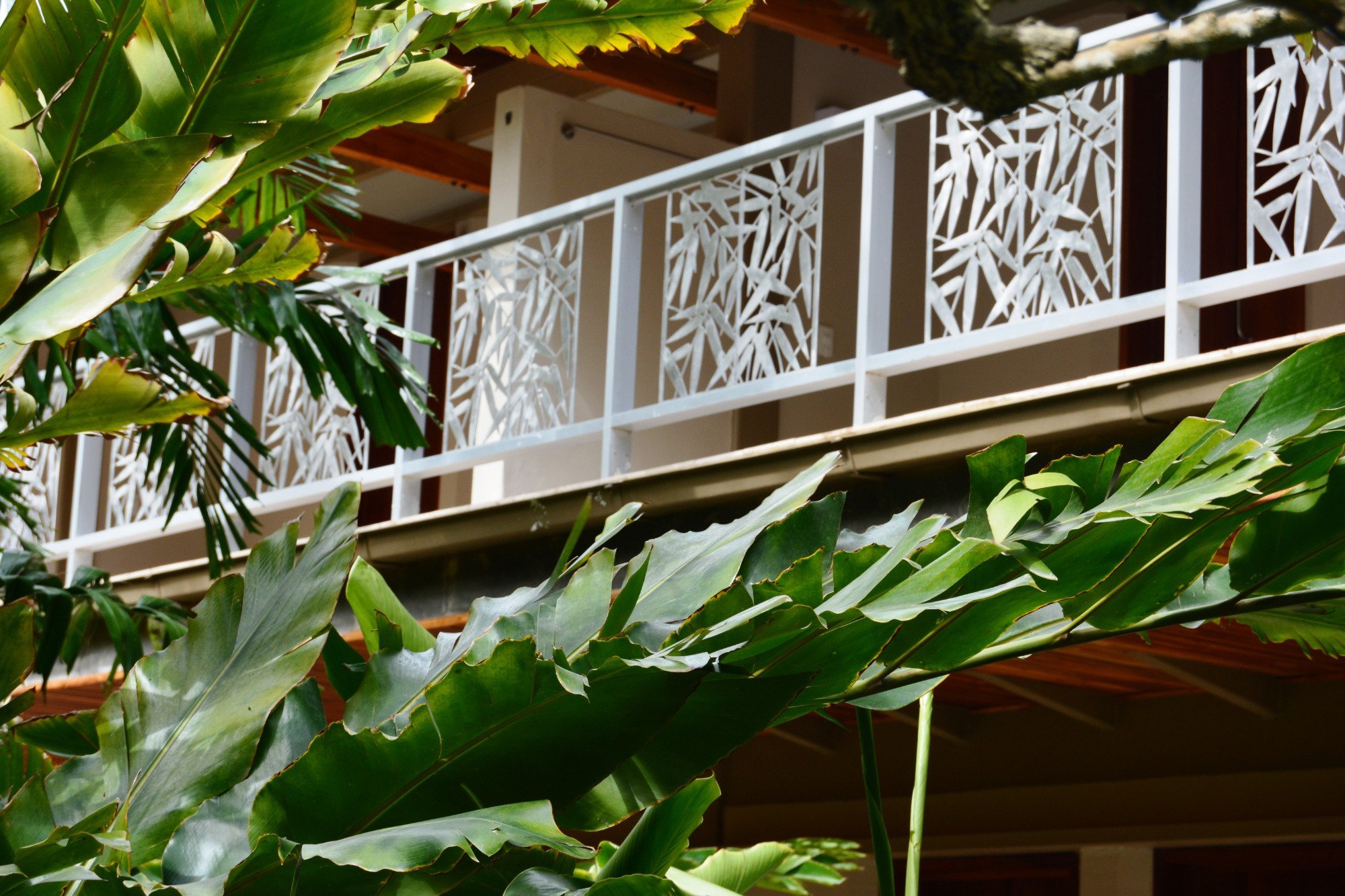 Casa Bequevé image