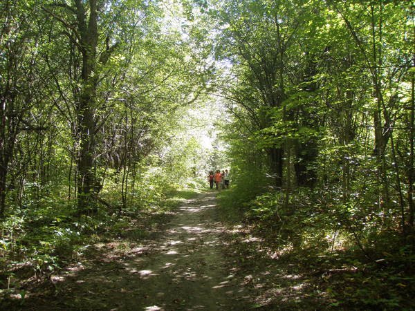 Long Sault Conservation Area 2025 All You Must Know Before You Go