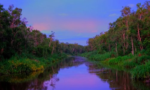 Sunset in Tanjung Puting National Park.
