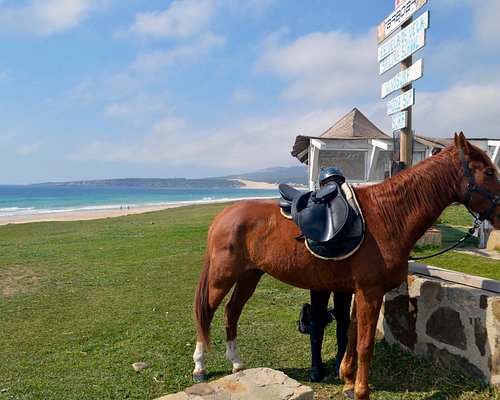 A Complete Guide of Puerto Banús - Things to do Around Sotogrande