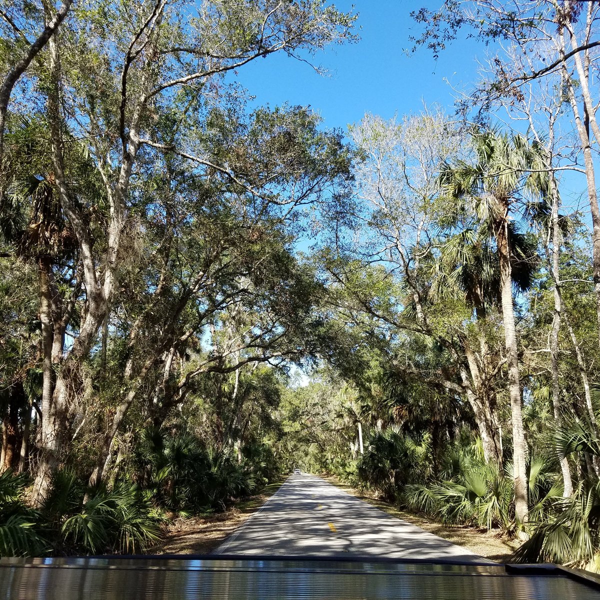 ORMOND SCENIC LOOP & TRAIL (Ormond Beach): Ce qu'il faut savoir