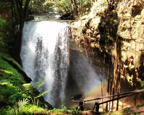 The Best Trails in Ôlho d'Água, Estado de Goiás (Brazil)