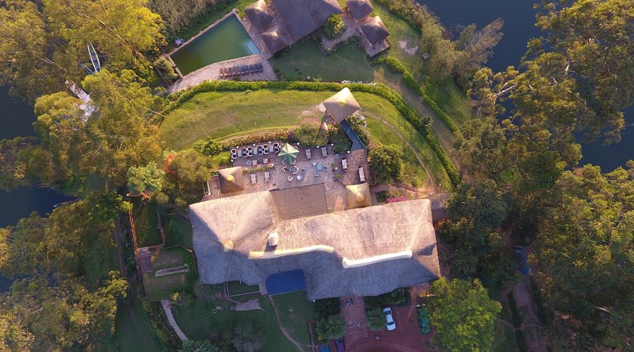 Drone view from the BirdNest site