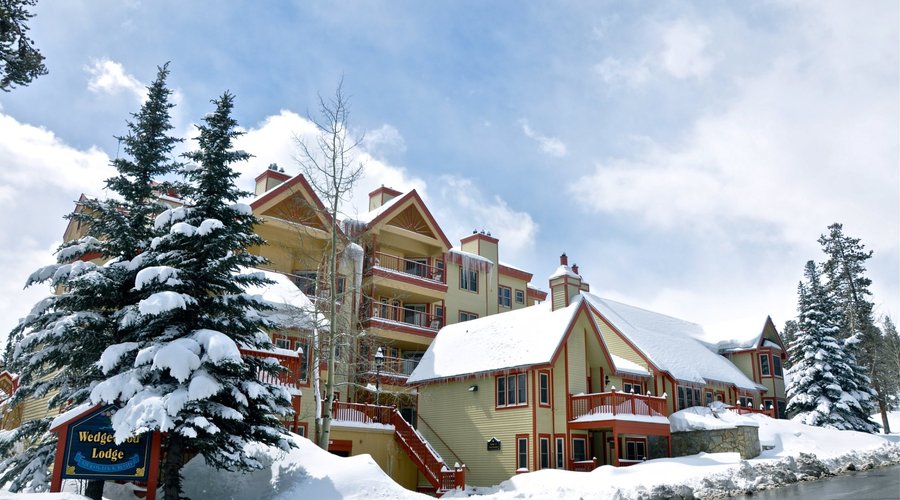 Wedgewood in March