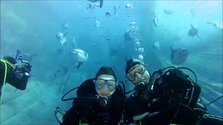 B&B DIVING CENTER (Camogli): 2022 - Tutto Quello Che C'è Da Sapere