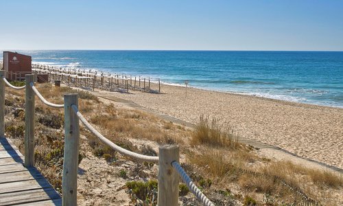 Hotel Beach Concession