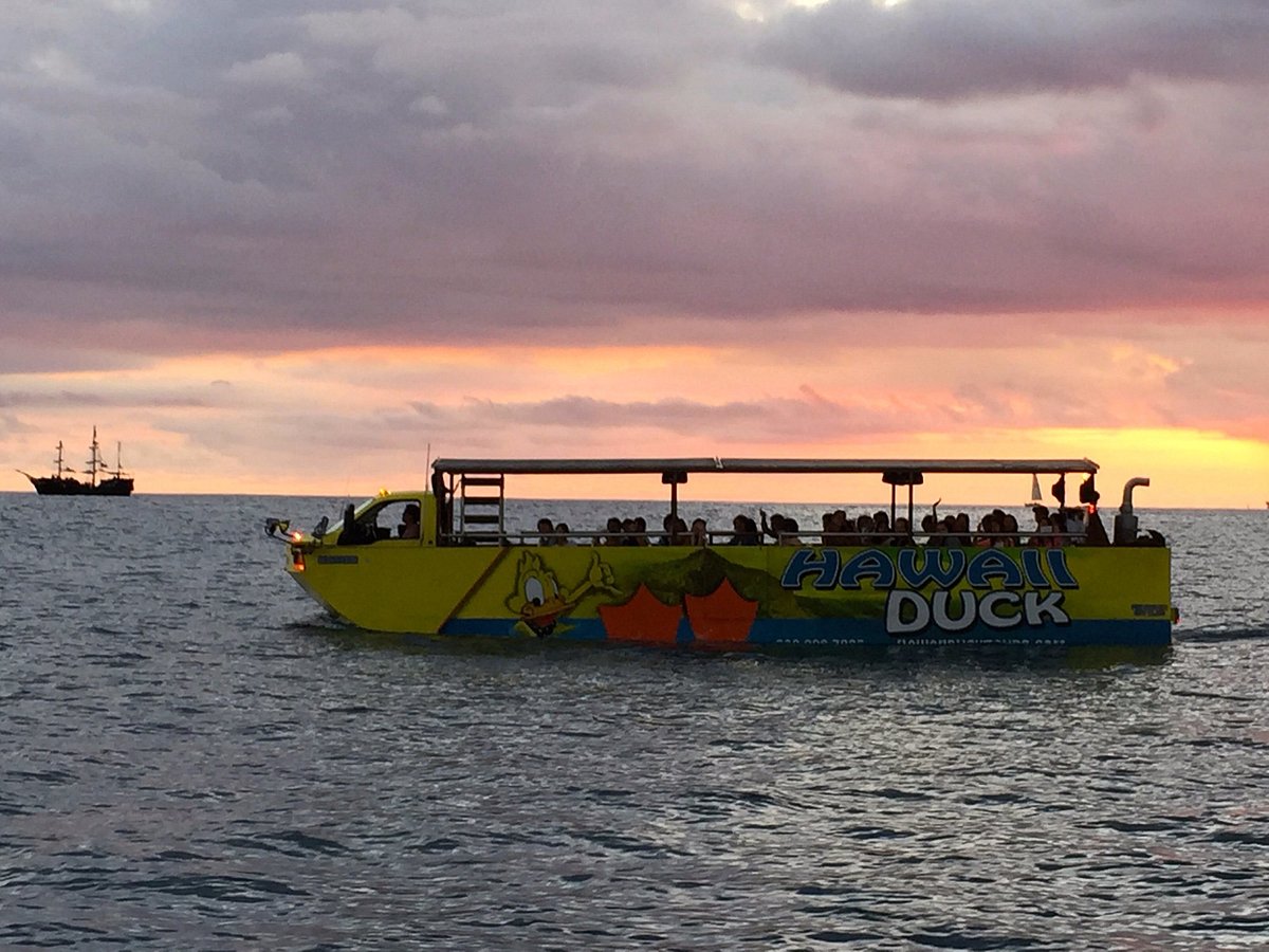 hawaii duck tours photos