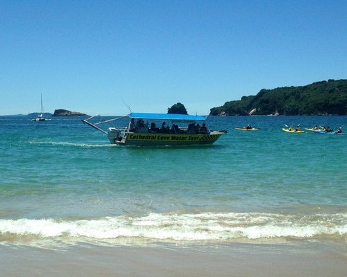 THE 10 BEST Things to Do in Hahei (Updated 2024) - Tripadvisor