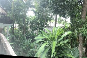 นักท่องเที่ยว