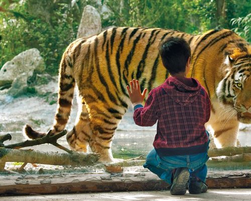 イタリアの動物園 水族館 ベスト10 トリップアドバイザー