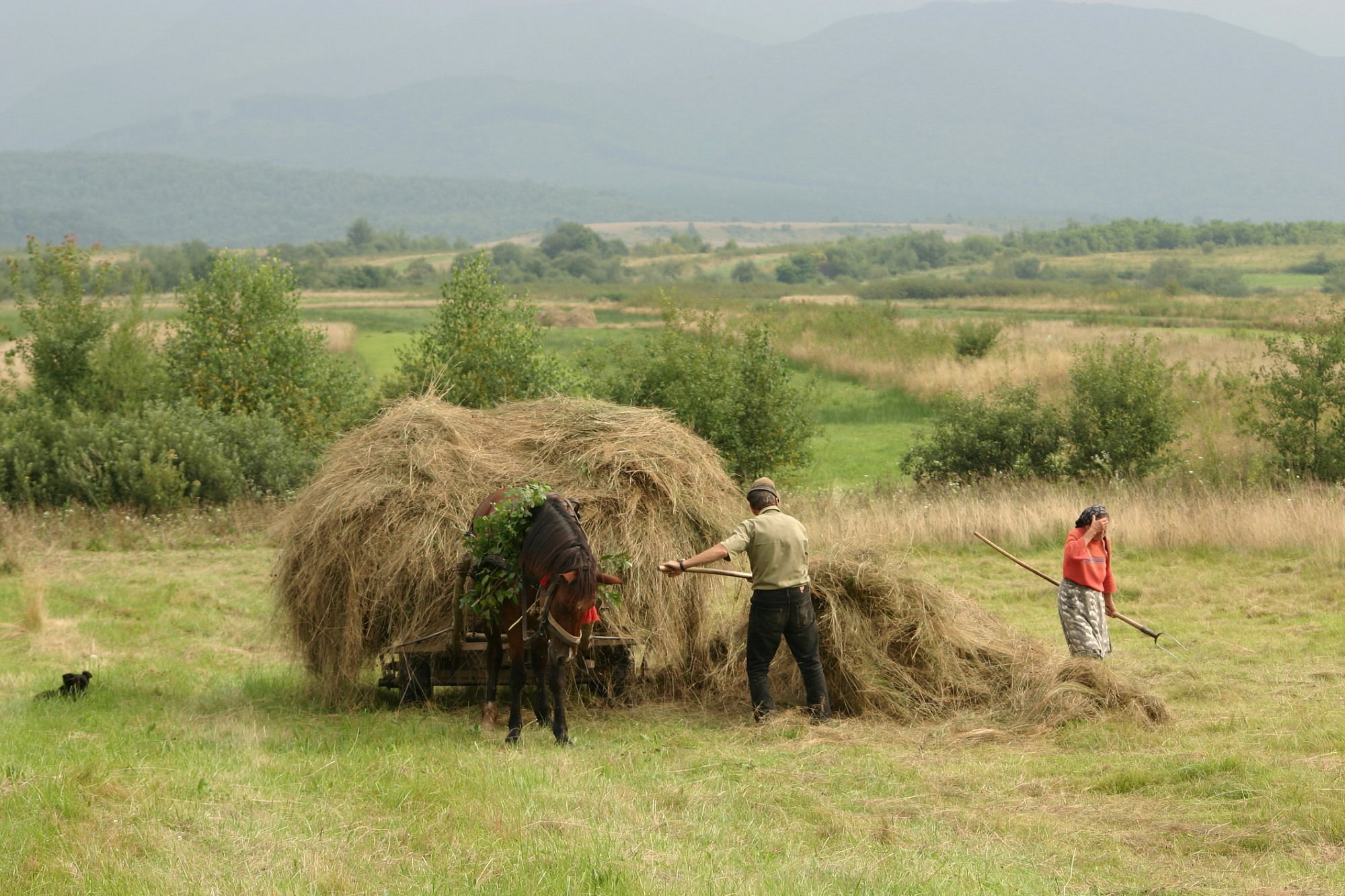 travis tourism romania