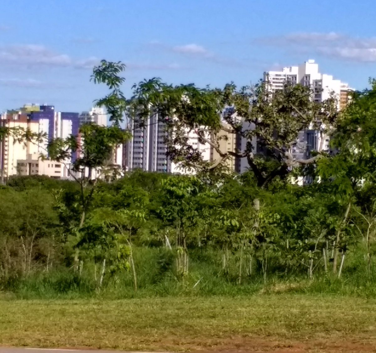 Parque Águas Claras