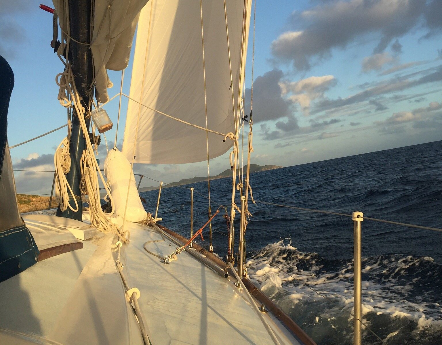 white wings sailboat