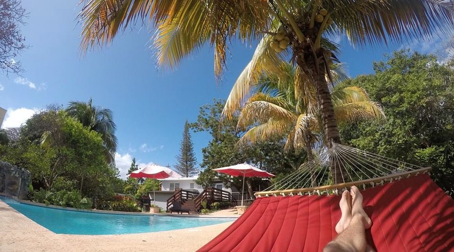relax on the hammock... by the pool