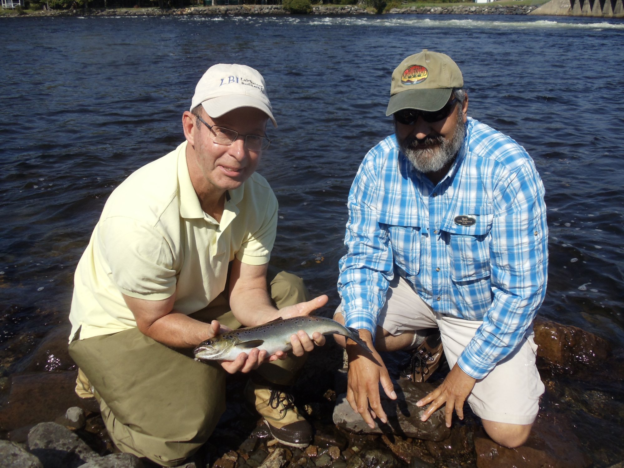 THE LODGE AT MOOSEHEAD LAKE INN & RESTAURANT: Bewertungen, Fotos ...