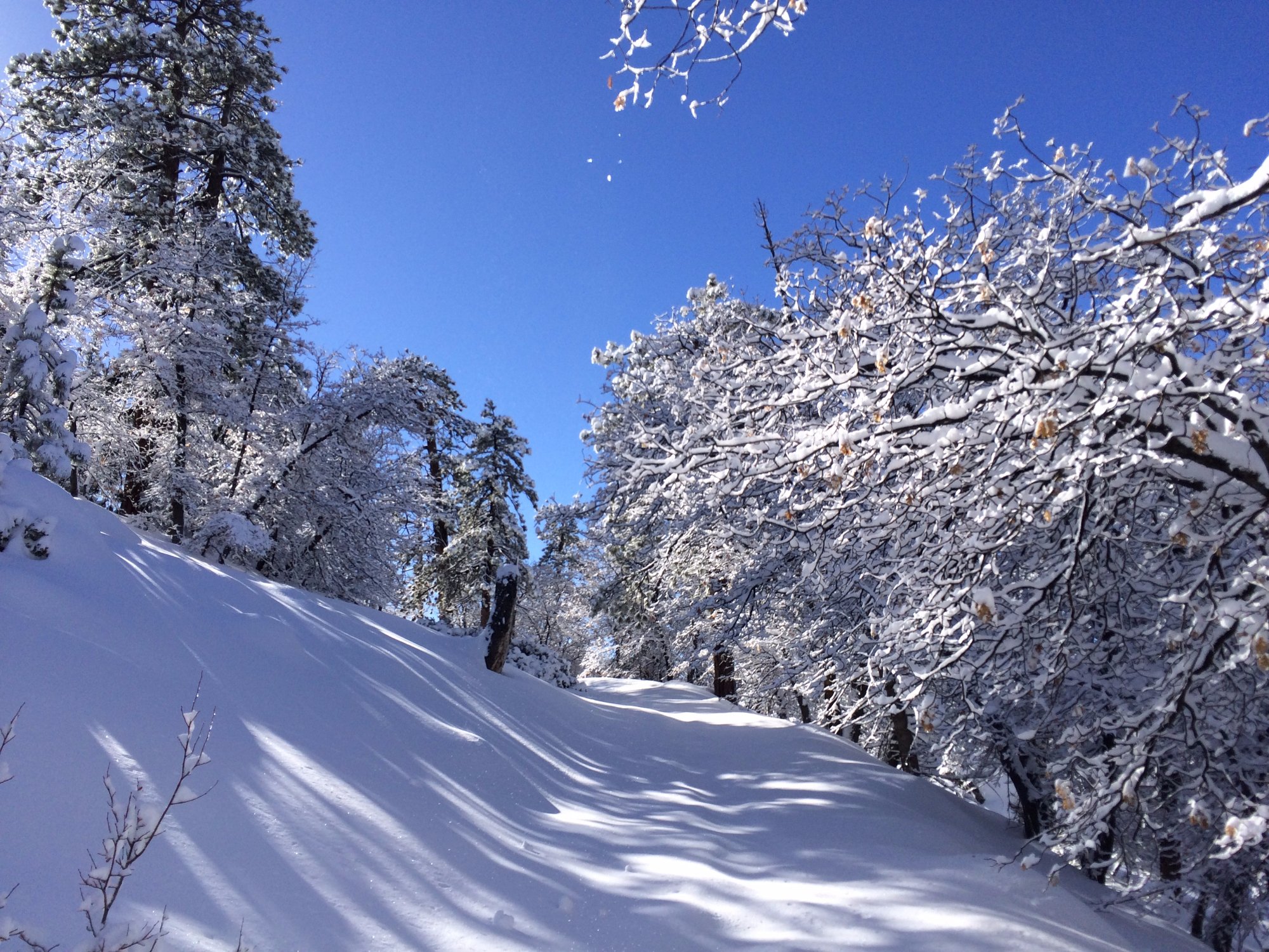 Rim Nordic Cross Country Ski Center All You Need to Know BEFORE