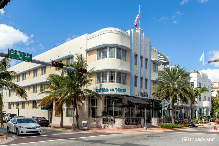 THE MARLIN HOTEL - 29 Photos & 64 Reviews - 1200 Collins Ave, Miami Beach,  Florida - Hotels - Phone Number - Yelp