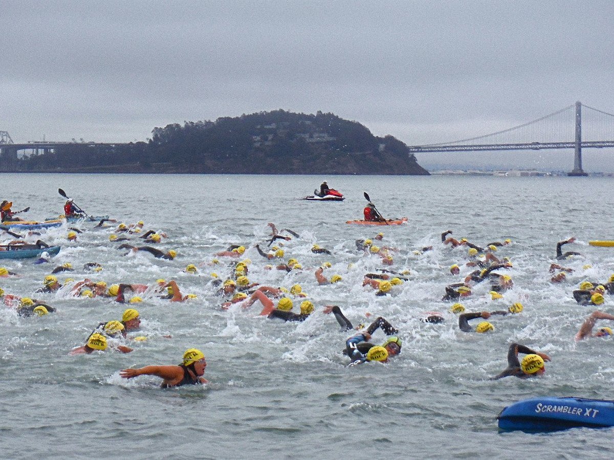 Pacific Open Water Swim Co. – Alcatraz and Golden Gate Bridge Swims – Swim  Alcatraz, Bridge to Bridge, and 26 other courses • San Francisco Licensed  USCG Pilots •