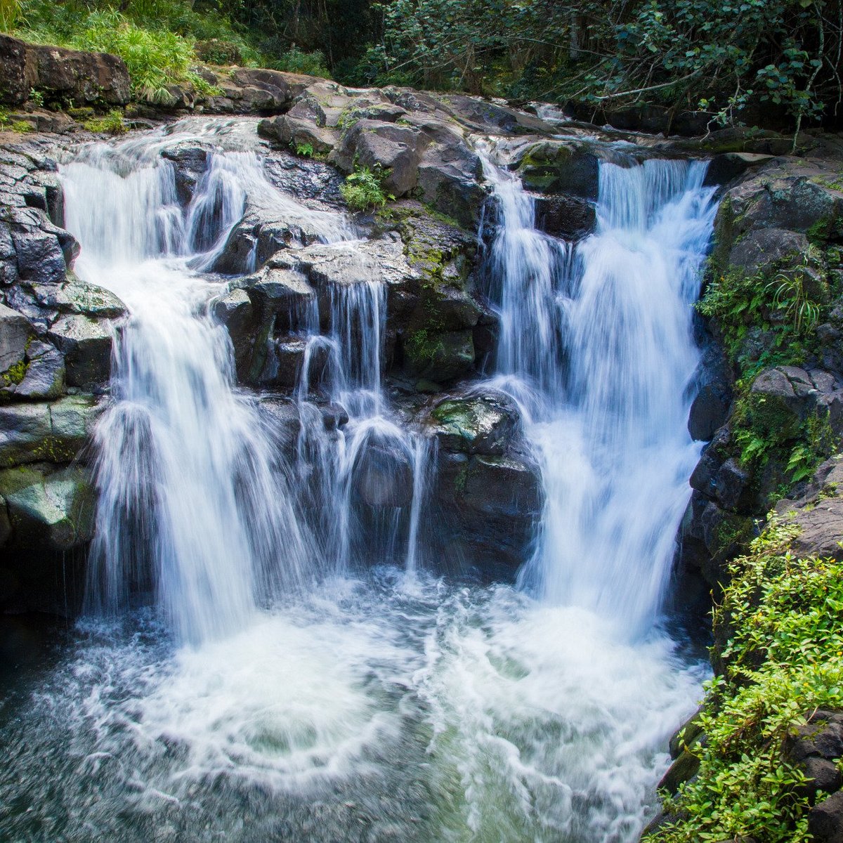 Ho'opi'i Falls (Kauai) - 2022 Qué saber antes de ir - Lo más comentado 