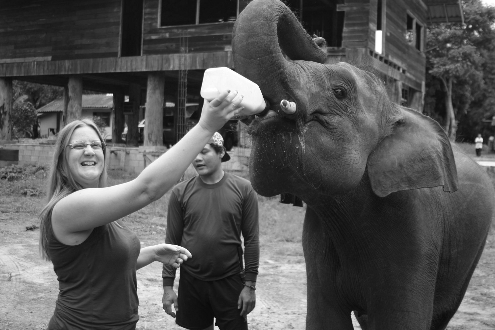 ELEPHANT CONSERVATION PARK (Chiang Mai): Ce qu'il faut savoir