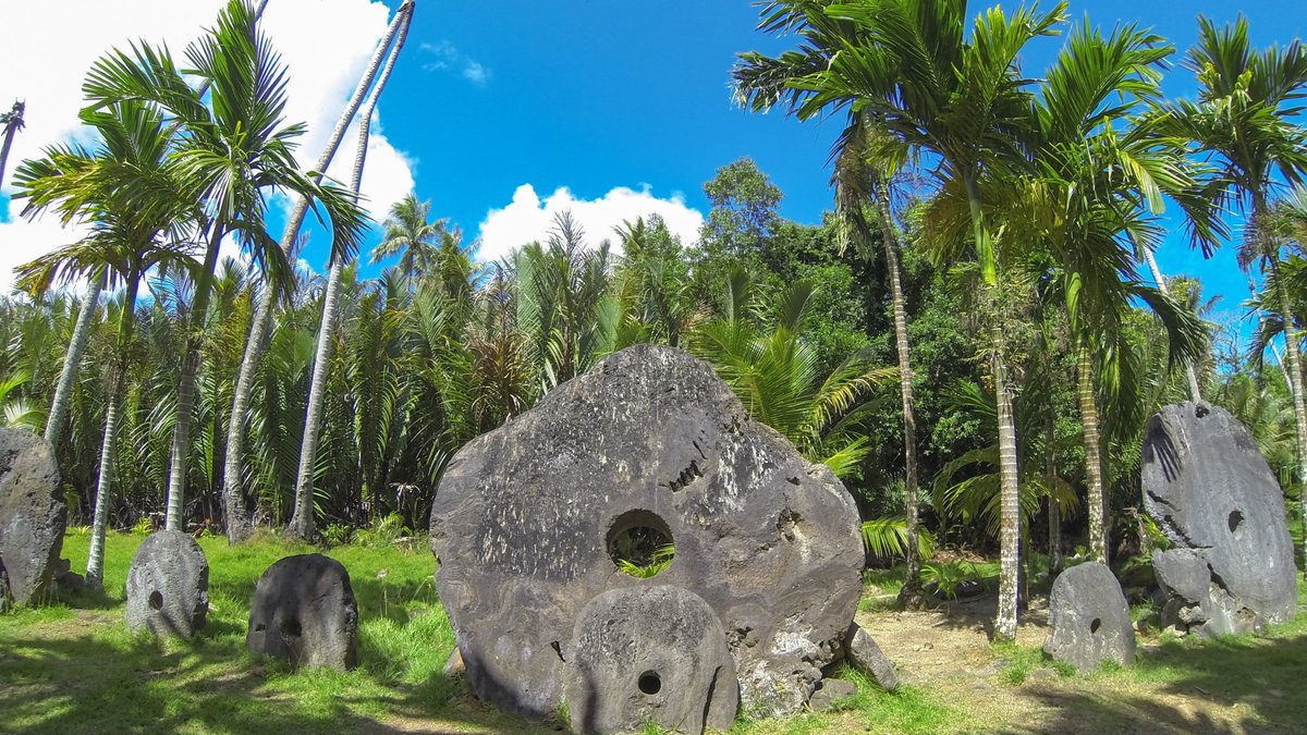 Yap Island Flower