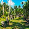 What to do and see in Yap, Yap: The Best Things to do