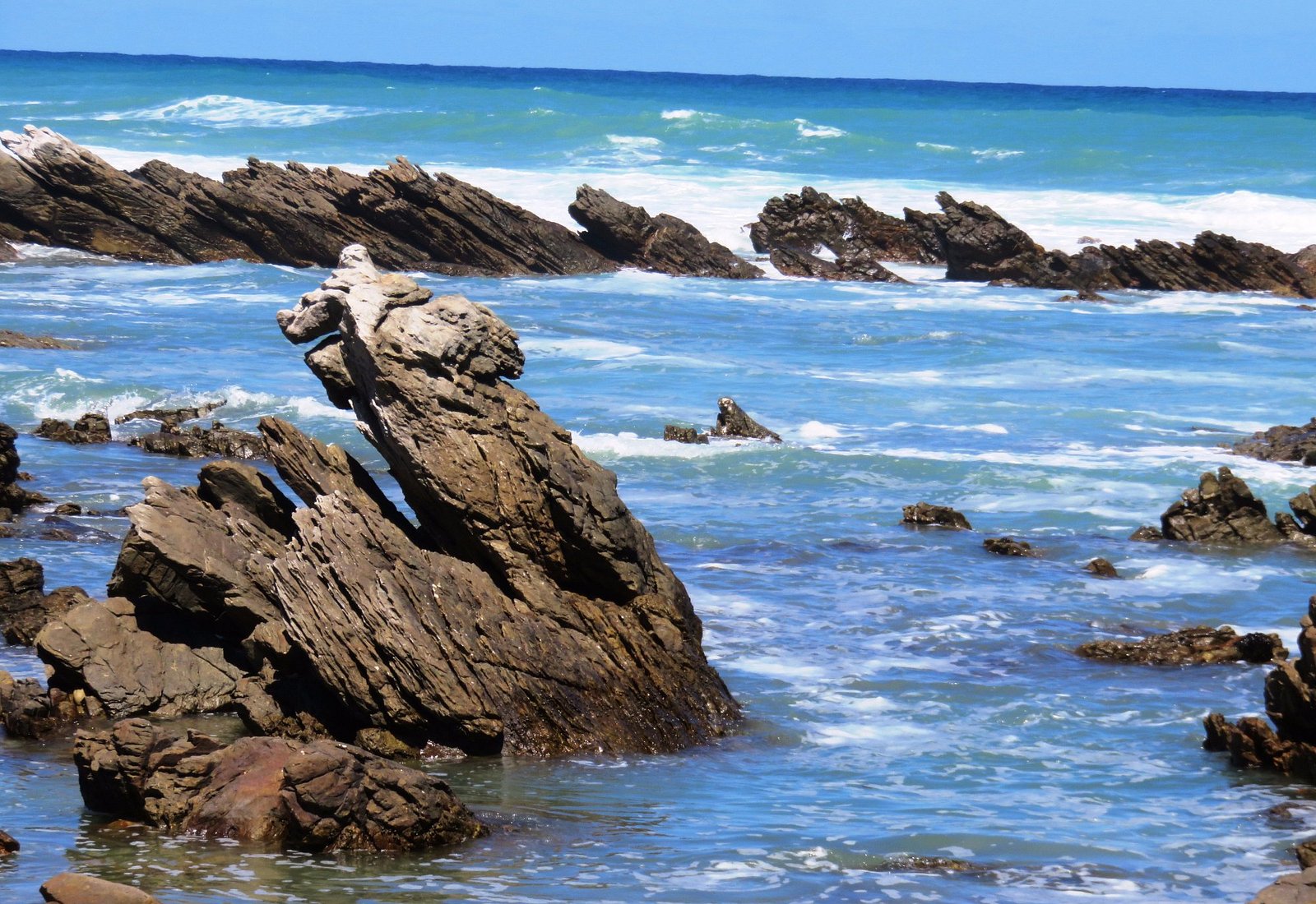 cape agulhas tourism