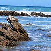 What to do and see in Cape Agulhas, Western Cape: The Best Tours