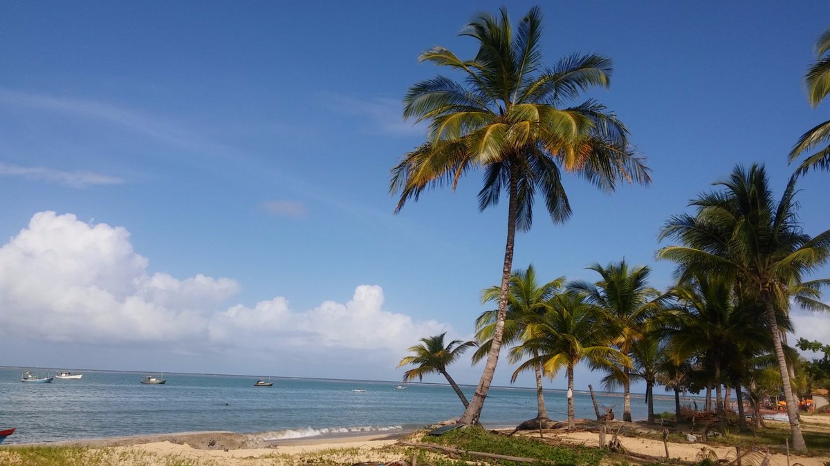 Praia de Coroa Vermelha - O que saber antes de ir (ATUALIZADO Julho 2024)