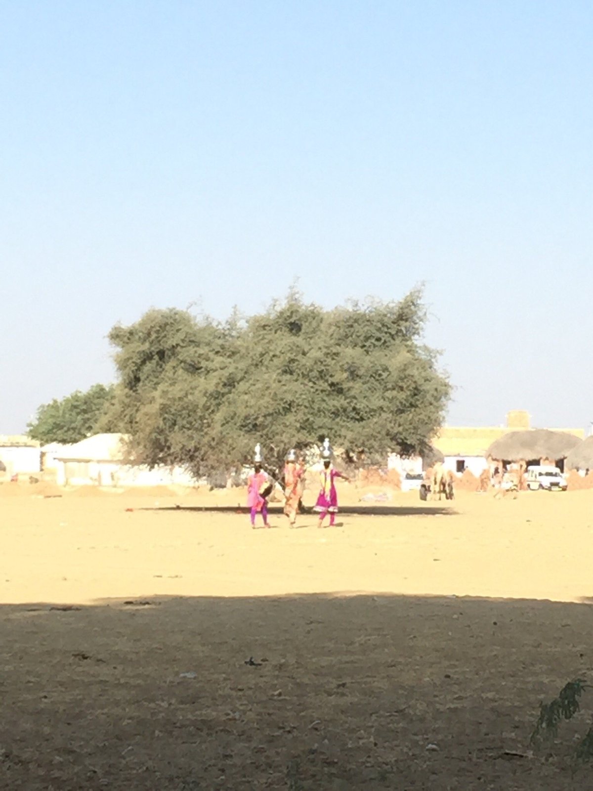 REGISTAN DESERT SAFARI CAMPS (Sakariya, India): opiniones