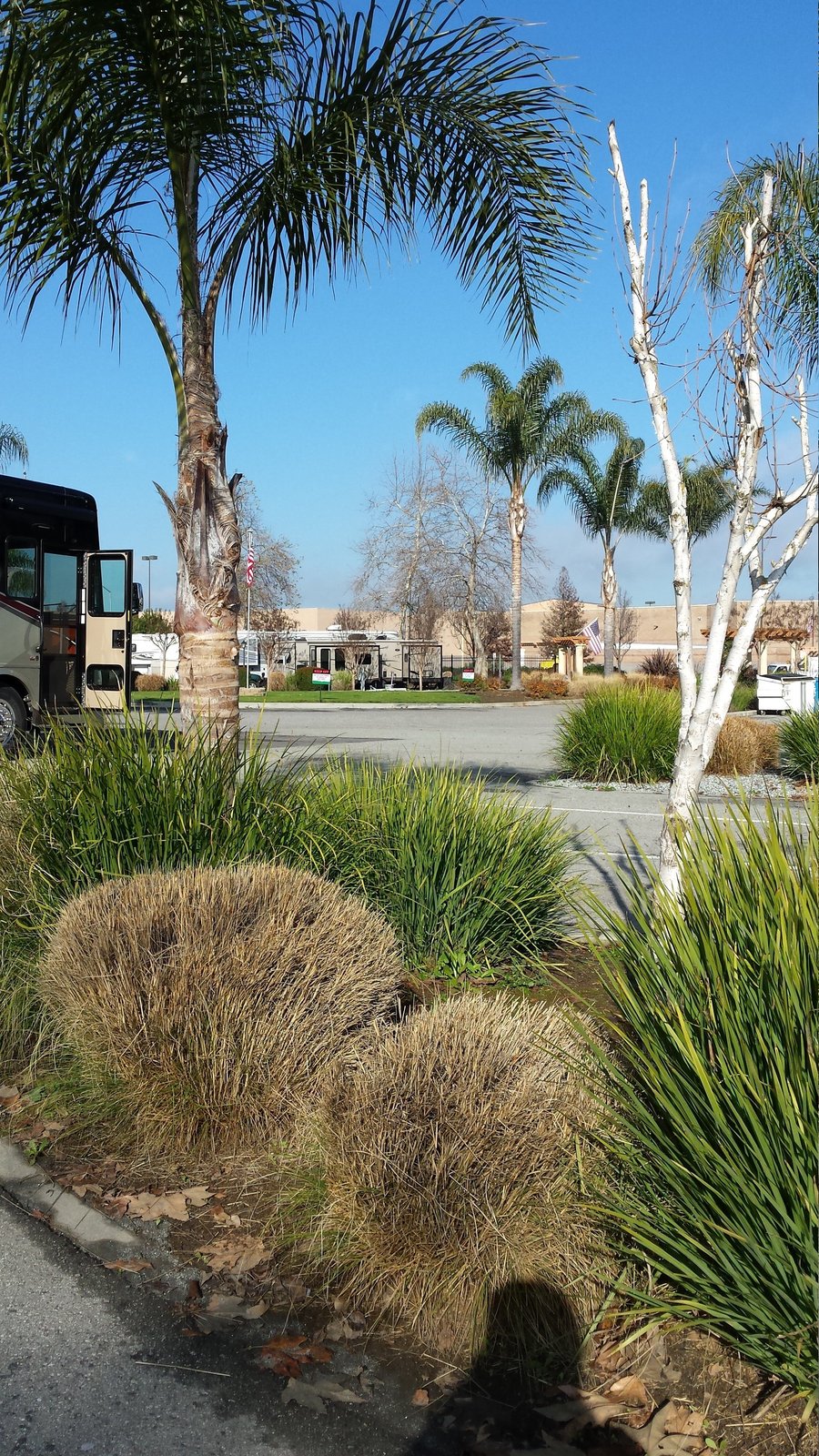 GILROY GARLIC USA RV PARK - Campground Reviews (CA) - Tripadvisor