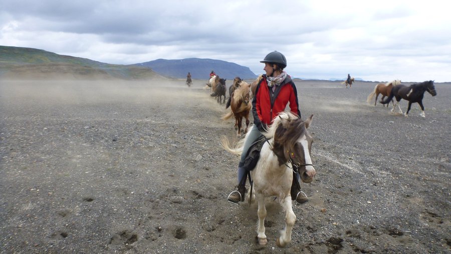 riding tour in Iceland