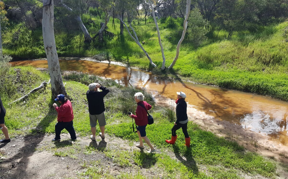 Jurien Bay Adventure Tours: All You Need to Know BEFORE You Go