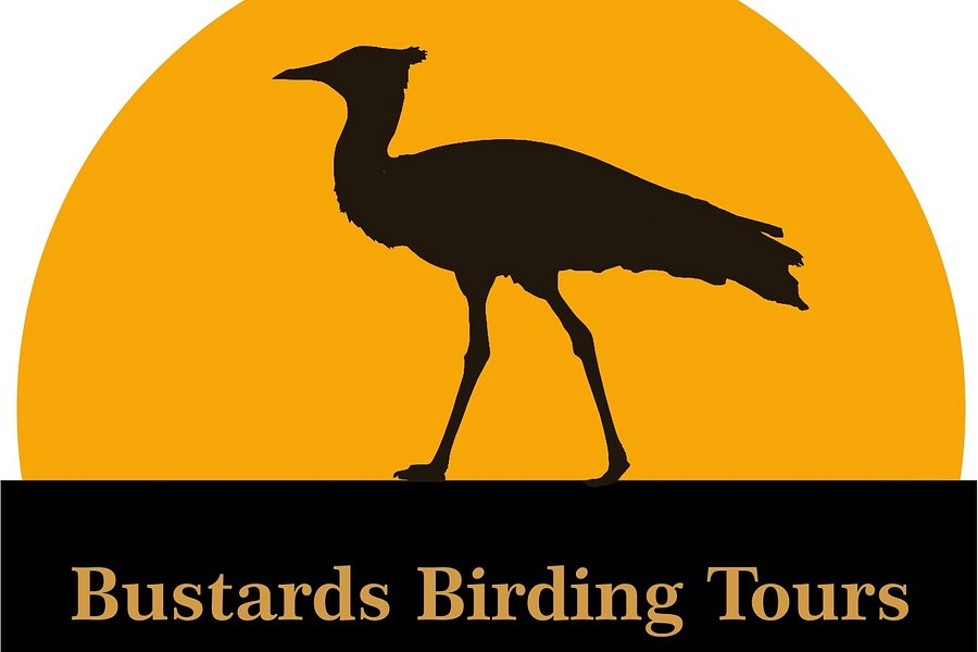 birding day trips johannesburg