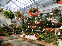 21年 ポンポコ村 ベゴニアガーデン 行く前に 見どころをチェック トリップアドバイザー 21年 ポンポコ村 ベゴニアガーデン 行く前に 見どころをチェック トリップアドバイザー