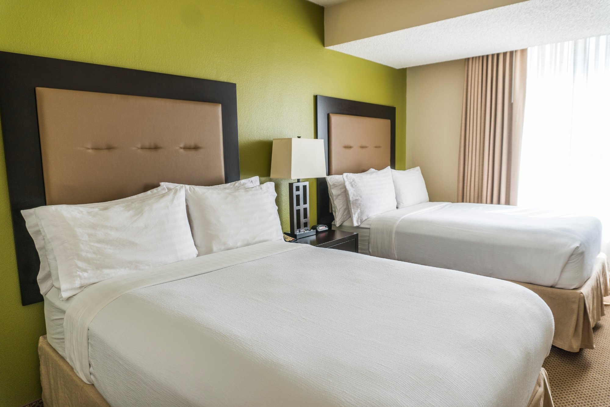 Hotel photo 48 of Holiday Inn & Suites Across From Universal Orlando, an IHG hotel.