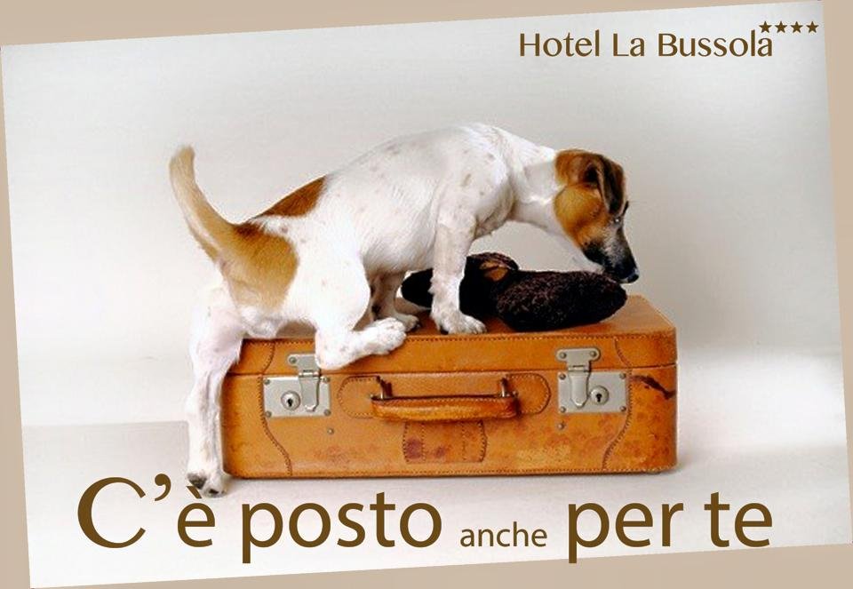 Hotel photo 3 of Hotel la Bussola.