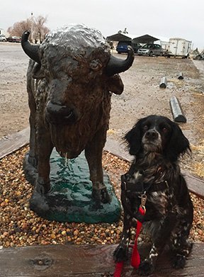 HIGH PLAINS CAMPING & RV PARK - Campground Reviews (Oakley, KS)