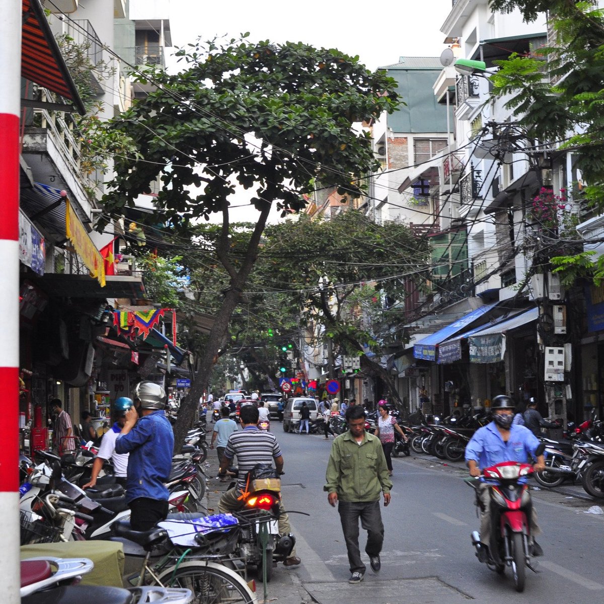 7 món ăn độc đáo có chứa bạc hà nội mà bạn chưa biết