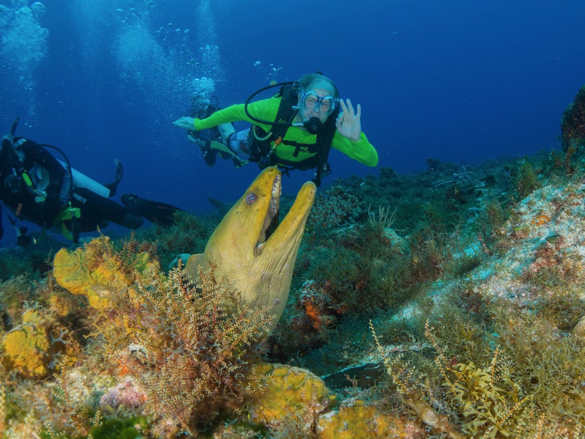 Eco Divers (Cozumel) - All You Need to Know BEFORE You Go