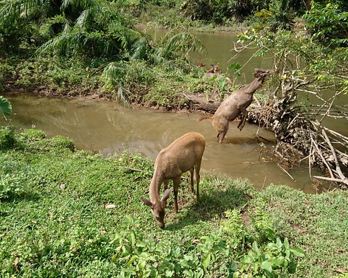 prachinburi tourist attraction